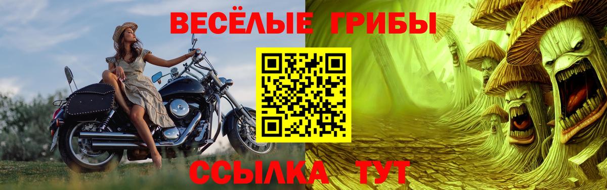 Прокопьевск  где купить   Вход с VPN  Псилоцибиновые грибы Psilocybine cubensis 